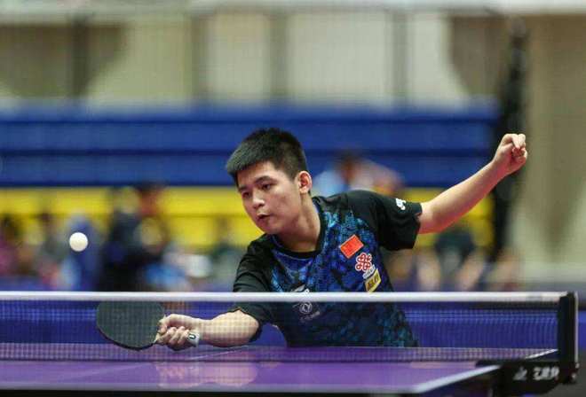 他们不仅是 他们不仅是