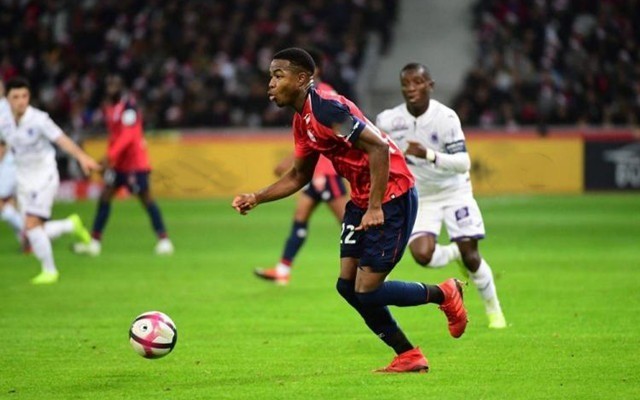 他们在比赛 他们在比赛